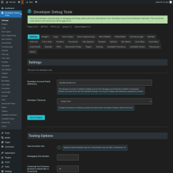 Page screenshot: Developer Debug Tools