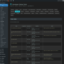 Page screenshot: Developer Debug Tools &rarr; Cron Jobs