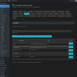Page screenshot: Developer Debug Tools &rarr; Cookies