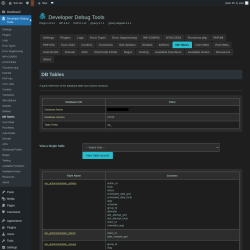 Page screenshot: Developer Debug Tools &rarr; DB Tables