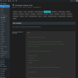 Page screenshot: Developer Debug Tools &rarr; WP-CONFIG