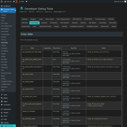 Page screenshot: Developer Debug Tools &rarr; Cron Jobs