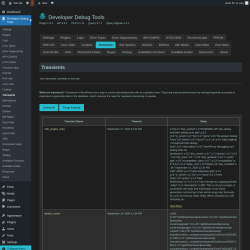 Page screenshot: Developer Debug Tools &rarr; Transients