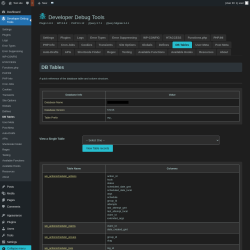 Page screenshot: Developer Debug Tools &rarr; DB Tables
