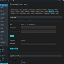 Page screenshot: Developer Debug Tools &rarr; User Meta