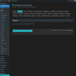 Page screenshot: Developer Debug Tools &rarr; Plugins
