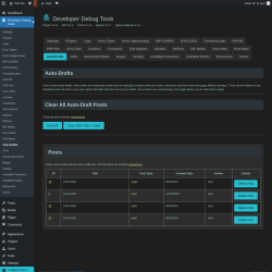 Page screenshot: Developer Debug Tools &rarr; Auto-Drafts