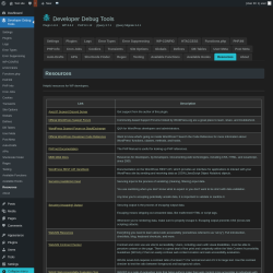 Page screenshot: Developer Debug Tools &rarr; Resources