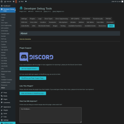 Page screenshot: Developer Debug Tools &rarr; About
