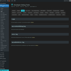 Page screenshot: Developer Debug Tools &rarr; Logs