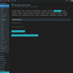 Page screenshot: Developer Debug Tools &rarr; Functions.php