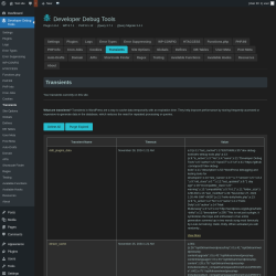 Page screenshot: Developer Debug Tools &rarr; Transients