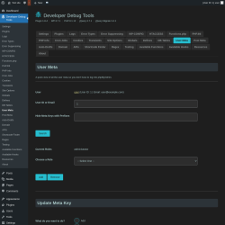 Page screenshot: Developer Debug Tools &rarr; User Meta