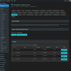 Page screenshot: Developer Debug Tools &rarr; Auto-Drafts