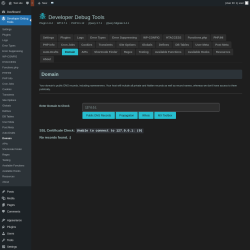 Page screenshot: Developer Debug Tools &rarr; Domain