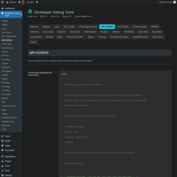 Page screenshot: Developer Debug Tools &rarr; WP-CONFIG