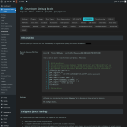 Page screenshot: Developer Debug Tools &rarr; HTACCESS