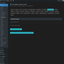 Page screenshot: Developer Debug Tools &rarr; Functions.php