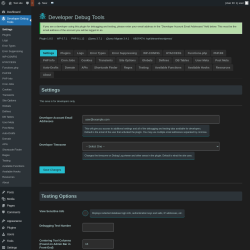 Page screenshot: Developer Debug Tools