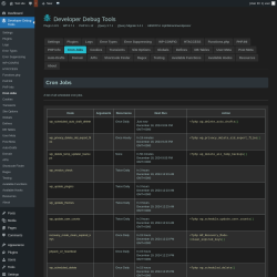 Page screenshot: Developer Debug Tools &rarr; Cron Jobs