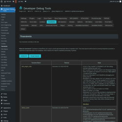Page screenshot: Developer Debug Tools &rarr; Transients
