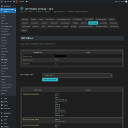 Page screenshot: Developer Debug Tools &rarr; DB Tables