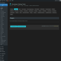 Page screenshot: Developer Debug Tools &rarr; Plugins