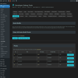 Page screenshot: Developer Debug Tools &rarr; Auto-Drafts