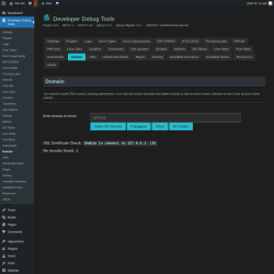Page screenshot: Developer Debug Tools &rarr; Domain