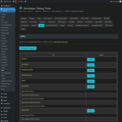 Page screenshot: Developer Debug Tools &rarr; APIs
