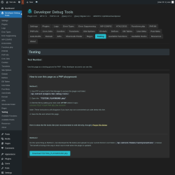 Page screenshot: Developer Debug Tools &rarr; Testing