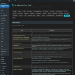Page screenshot: Developer Debug Tools &rarr; Resources