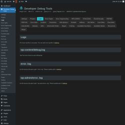 Page screenshot: Developer Debug Tools &rarr; Logs