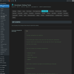 Page screenshot: Developer Debug Tools &rarr; WP-CONFIG