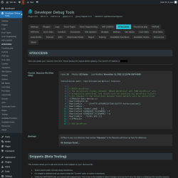 Page screenshot: Developer Debug Tools &rarr; HTACCESS