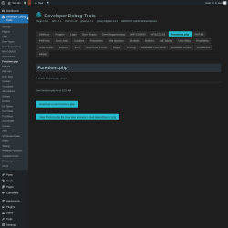 Page screenshot: Developer Debug Tools &rarr; Functions.php