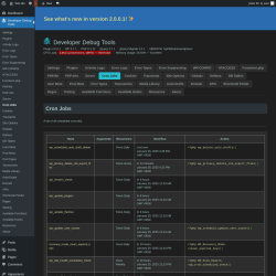 Page screenshot: Developer Debug Tools &rarr; Cron Jobs