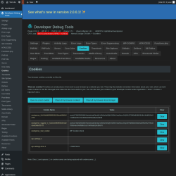 Page screenshot: Developer Debug Tools &rarr; Cookies