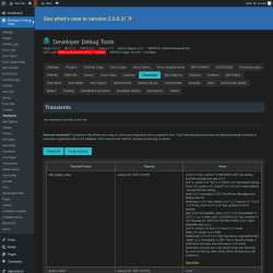 Page screenshot: Developer Debug Tools &rarr; Transients
