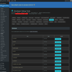 Page screenshot: Developer Debug Tools &rarr; Globals