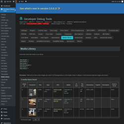 Page screenshot: Developer Debug Tools &rarr; Media Library