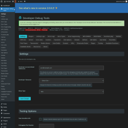 Page screenshot: Developer Debug Tools