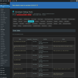Page screenshot: Developer Debug Tools &rarr; Cron Jobs