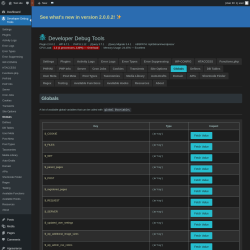 Page screenshot: Developer Debug Tools &rarr; Globals