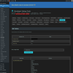 Page screenshot: Developer Debug Tools &rarr; DB Tables