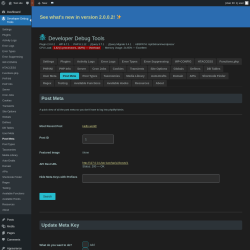 Page screenshot: Developer Debug Tools &rarr; Post Meta