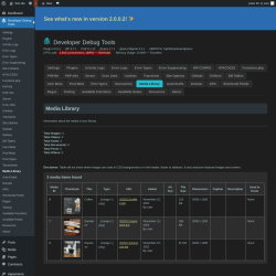 Page screenshot: Developer Debug Tools &rarr; Media Library