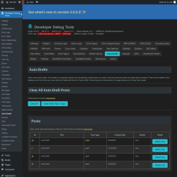 Page screenshot: Developer Debug Tools &rarr; Auto-Drafts