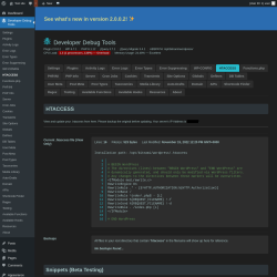 Page screenshot: Developer Debug Tools &rarr; HTACCESS
