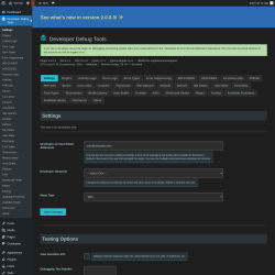Page screenshot: Developer Debug Tools